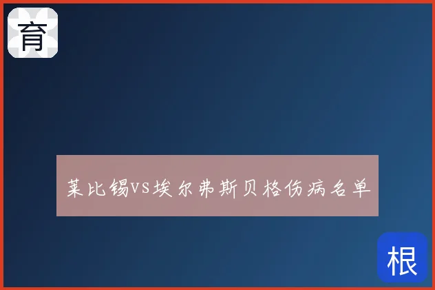 莱比锡vs埃尔弗斯贝格伤病名单