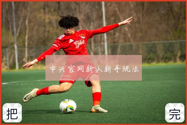中兴官网新人新手玩法